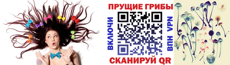 Псилоцибиновые грибы GOLDEN TEACHER Аша