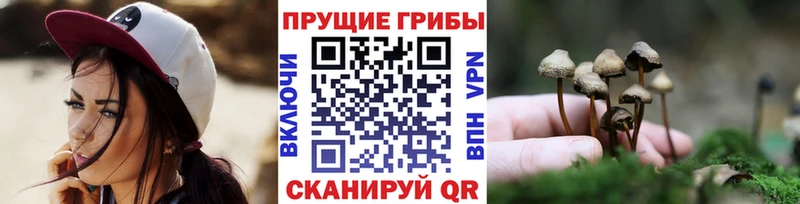 Галлюциногенные грибы прущие грибы  где купить наркотик  Аша 