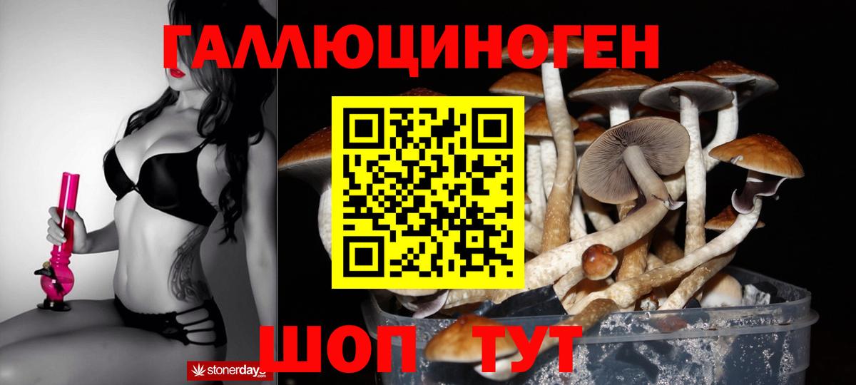 купить закладку  Вход с VPN  Аша  Псилоцибиновые грибы GOLDEN TEACHER 