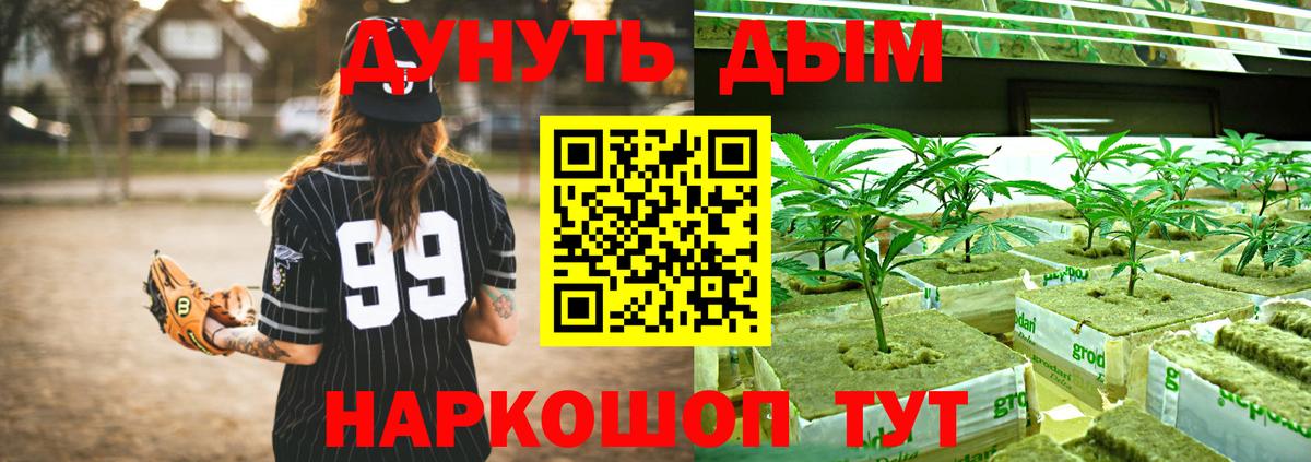 Конопля White Widow  Канабис семена  Бошки марихуана сатива  Аша 